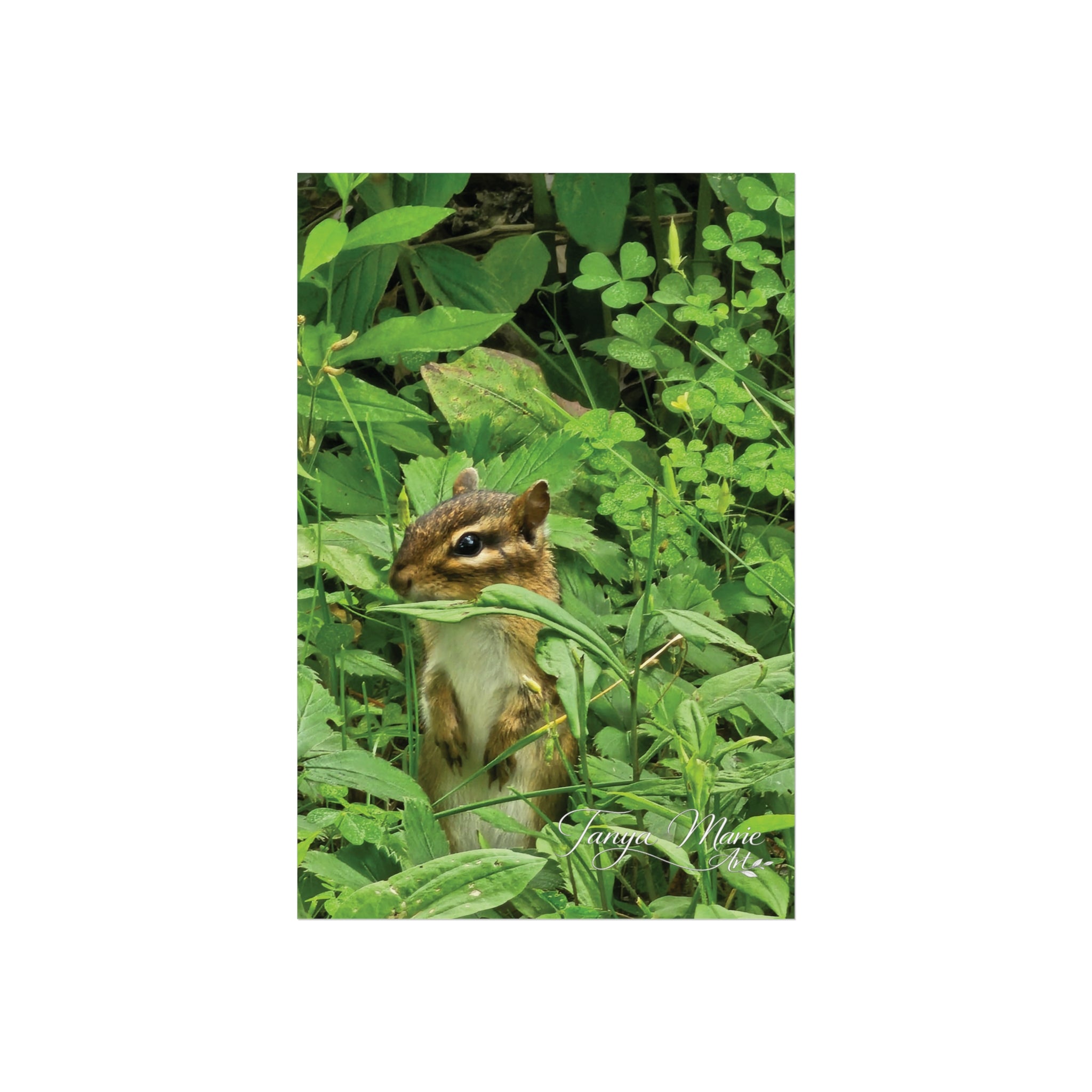 Chipmunk Wildlife Fine Art Poster — Woodland Nature Wall Art