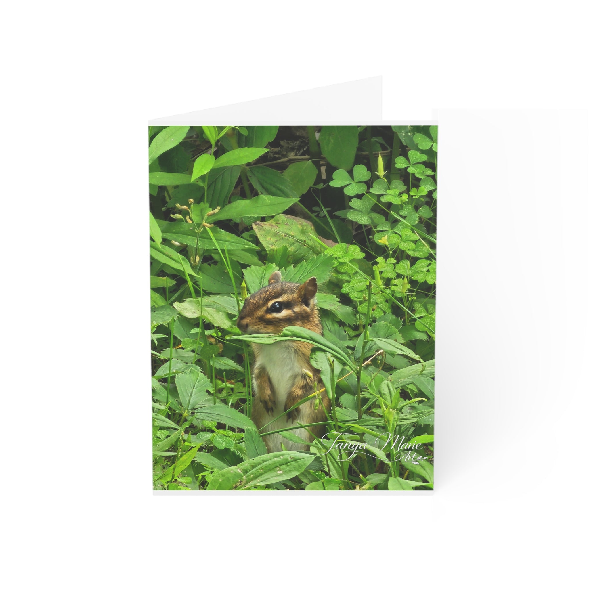Chipmunk in the Greenery - Blank Greeting Card (Single or Bulk)