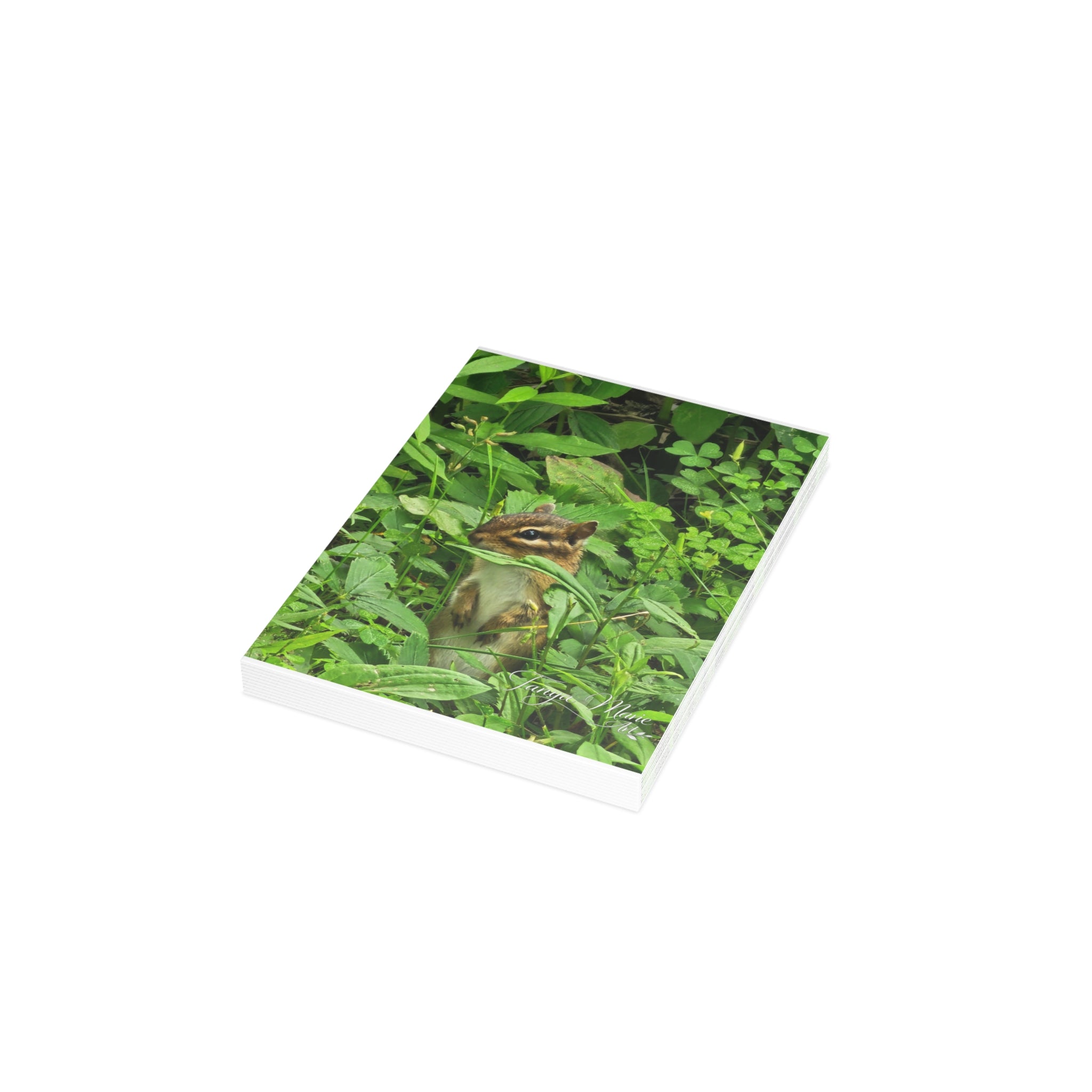 Chipmunk in the Greenery - Blank Greeting Card (Single or Bulk)