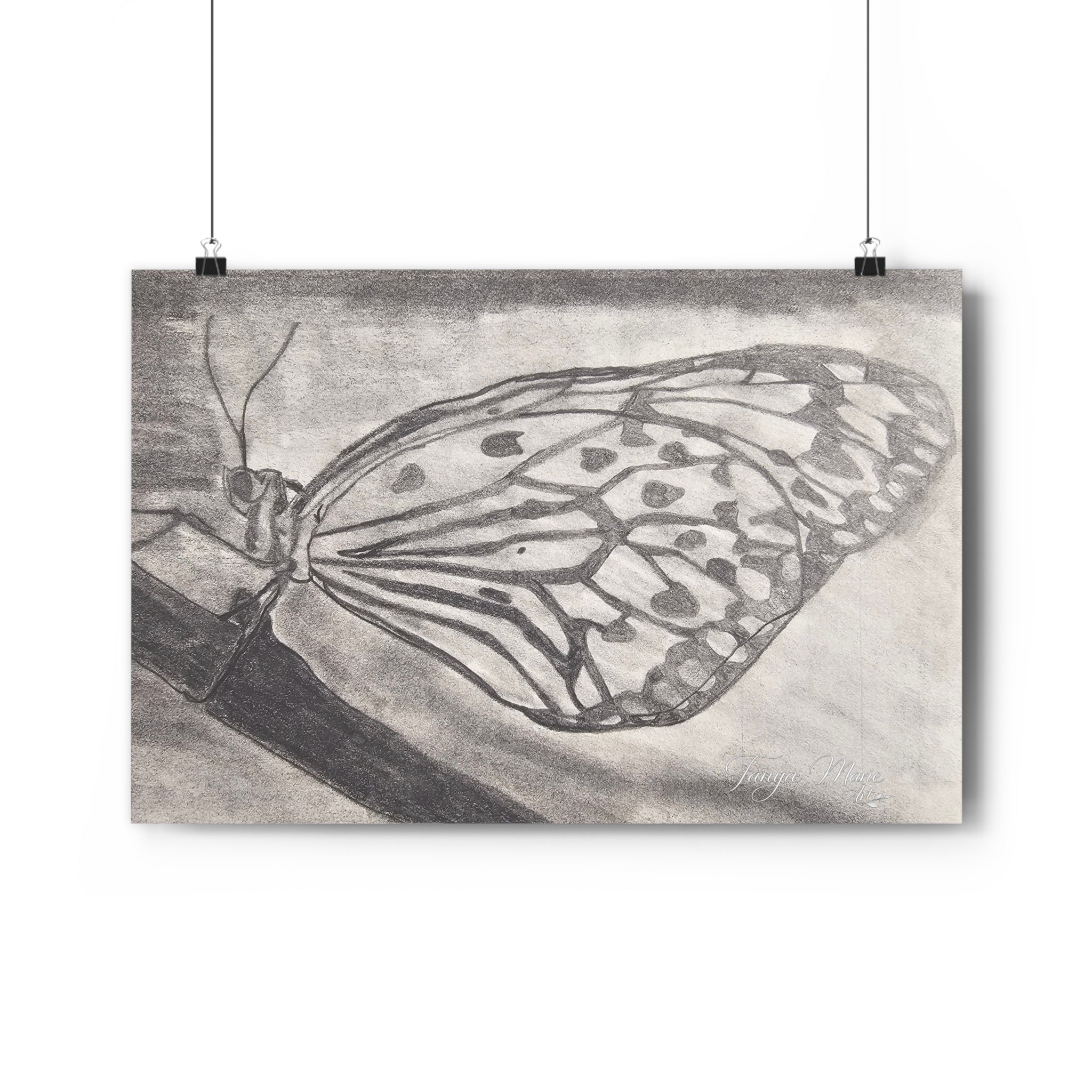 Butterfly Kisses - Monochrome Butterfly Giclée Art Print — Pencil Sketch Wall Art