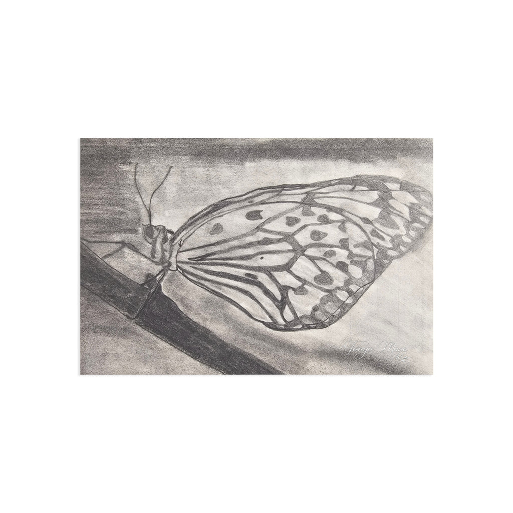 Butterfly Kisses - Butterfly Sketch Postcards — Fine Art Monochrome Note Cards