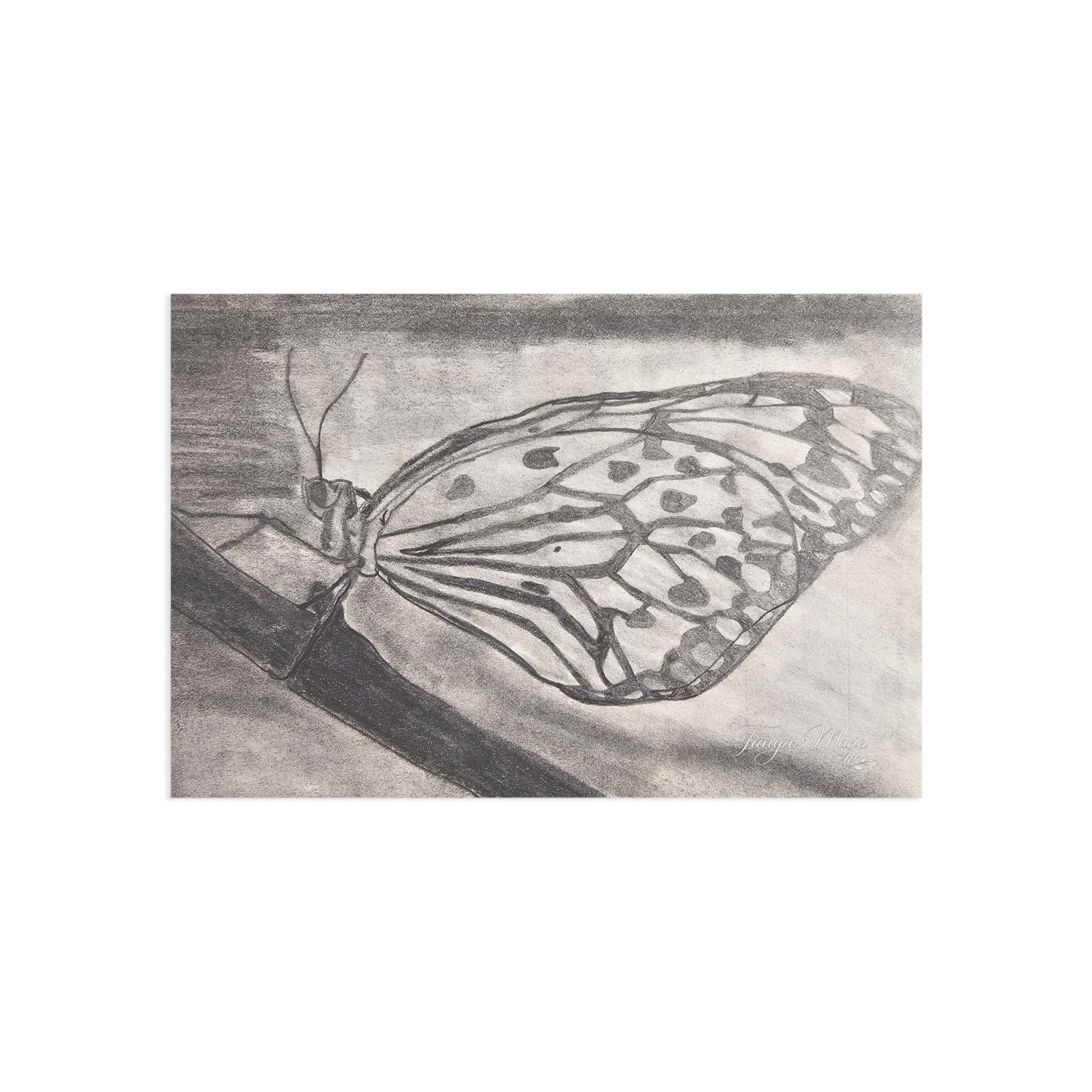 Butterfly Kisses - Butterfly Sketch Postcards — Fine Art Monochrome Note Cards
