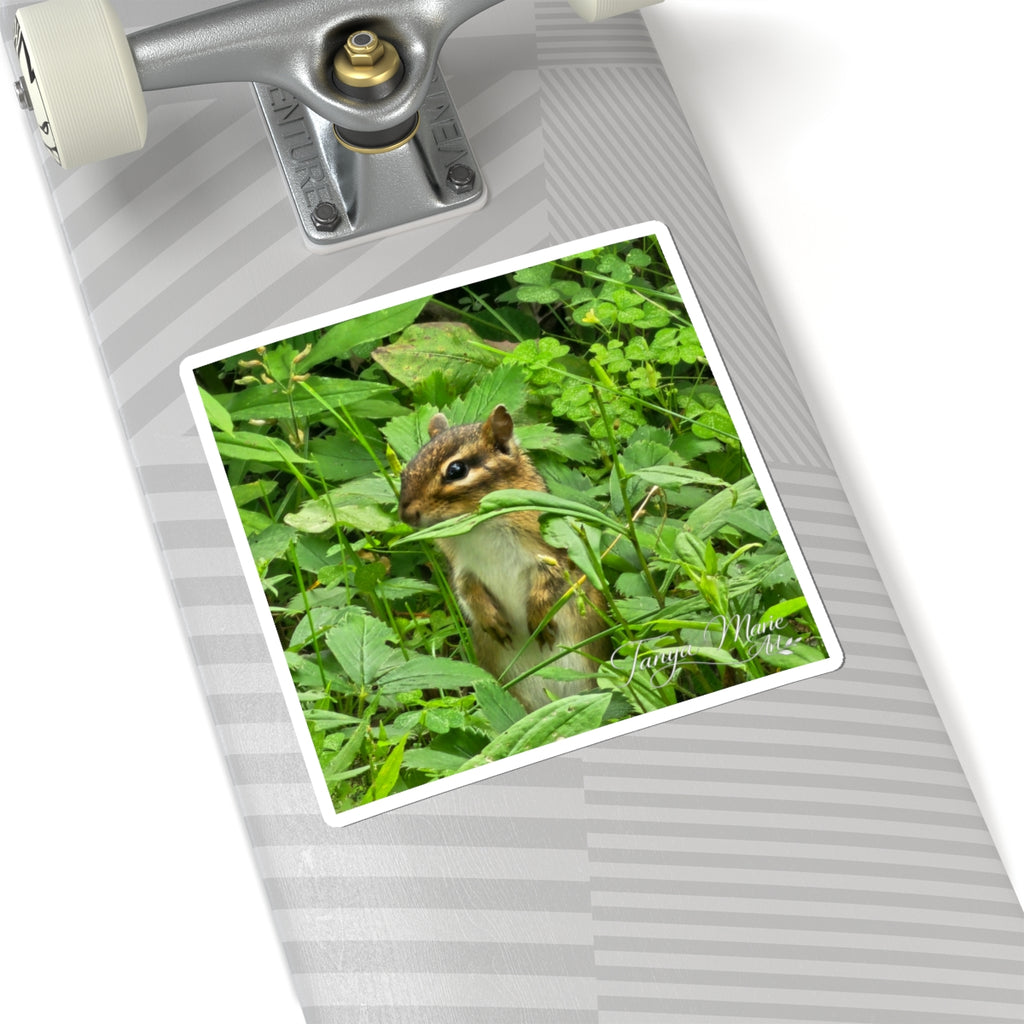 Chipmunk Photo Sticker — Cute Wildlife Kiss-Cut Sticker for Laptops, Water Bottles & Journals