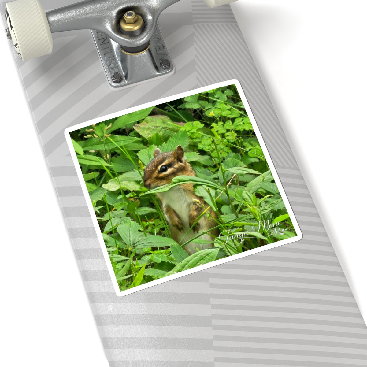 Chipmunk Photo Sticker — Cute Wildlife Kiss-Cut Sticker for Laptops, Water Bottles & Journals