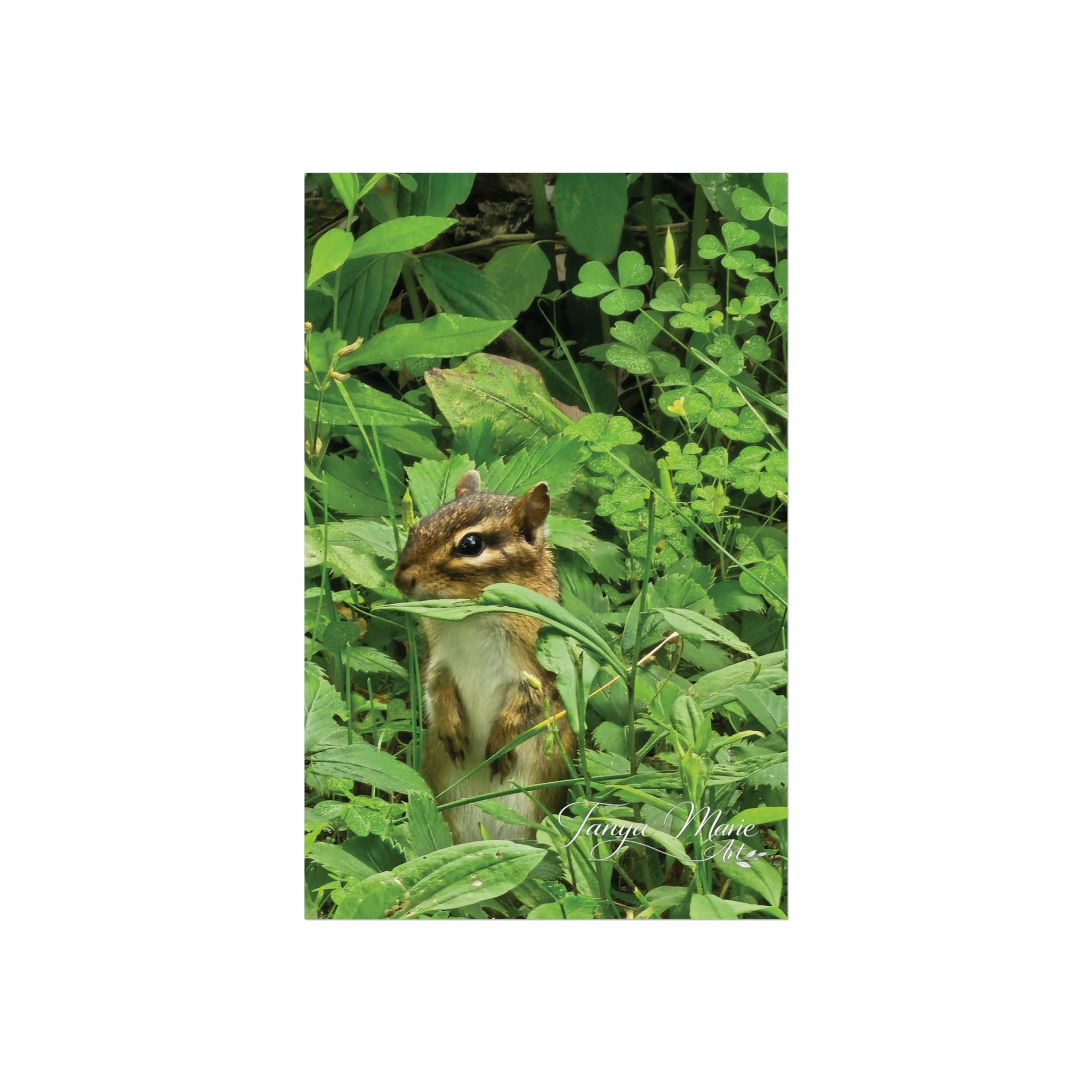 Chipmunk Wildlife Fine Art Poster — Woodland Nature Wall Art