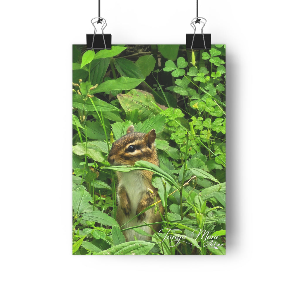 Chipmunk in Greenery — Giclée Art Print (Woodland Wildlife Photography)