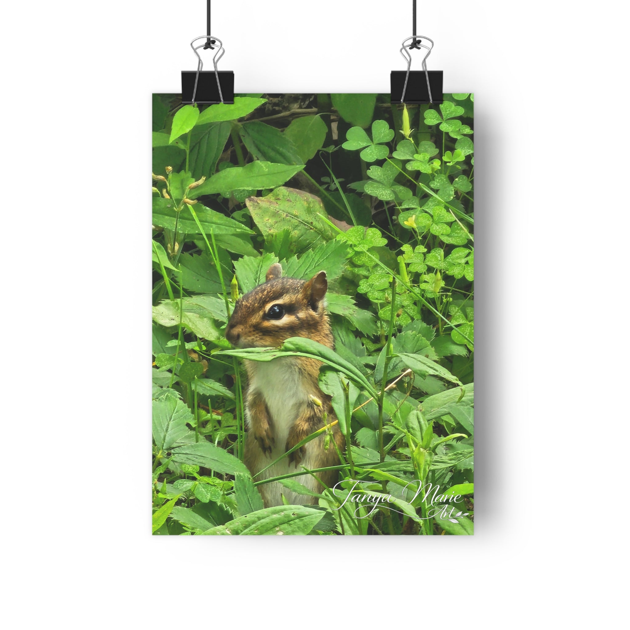 Chipmunk in Greenery — Giclée Art Print (Woodland Wildlife Photography)