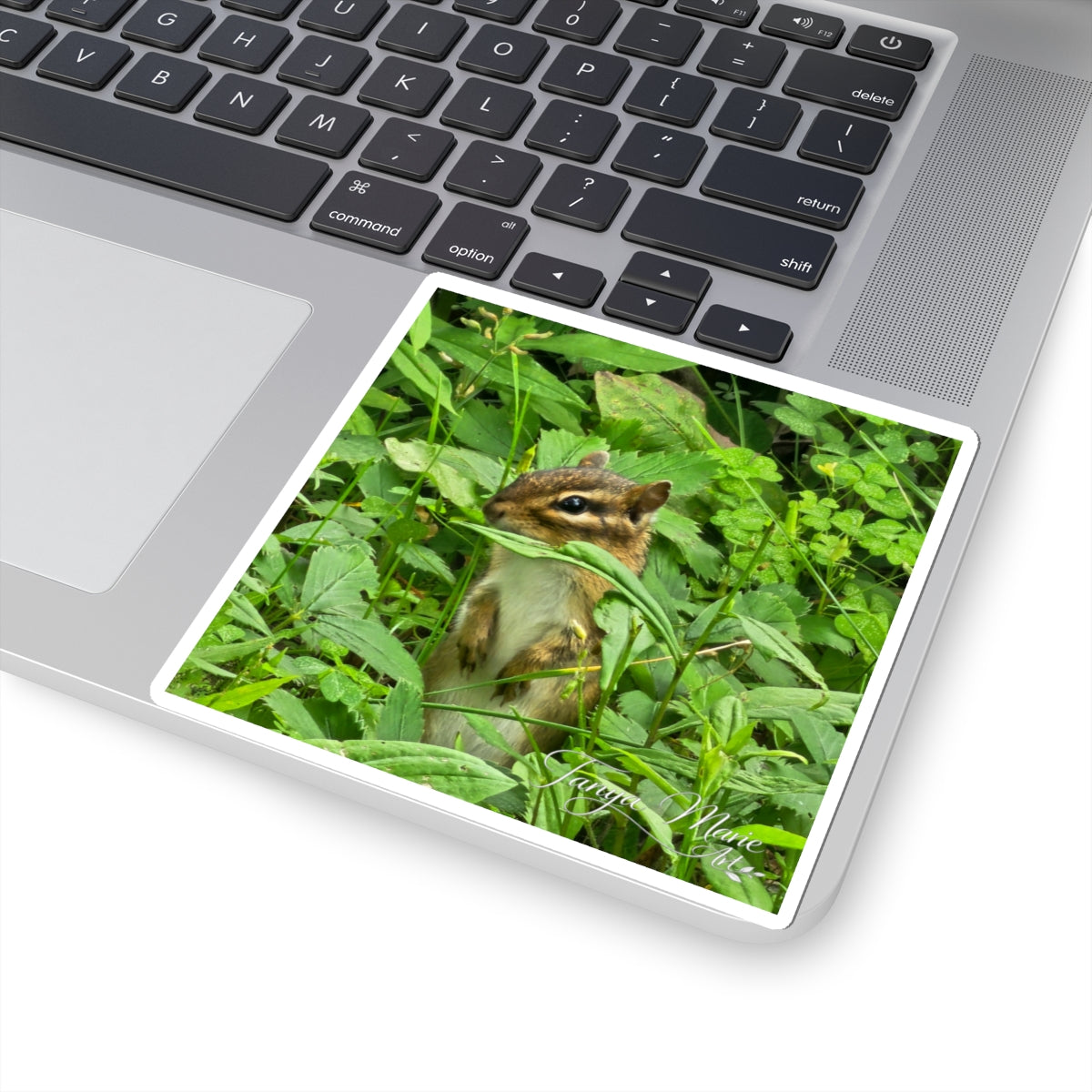 Chipmunk Photo Sticker — Cute Wildlife Kiss-Cut Sticker for Laptops, Water Bottles & Journals