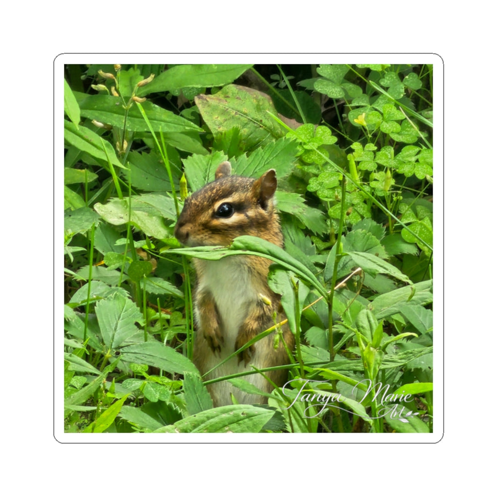 Chipmunk Photo Sticker — Cute Wildlife Kiss-Cut Sticker for Laptops, Water Bottles & Journals