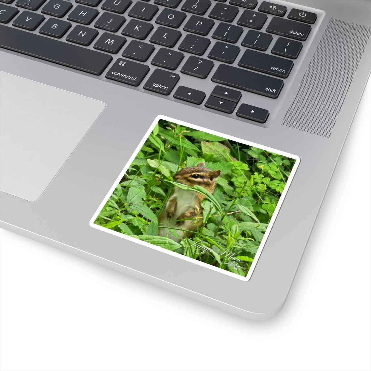 Chipmunk Photo Sticker — Cute Wildlife Kiss-Cut Sticker for Laptops, Water Bottles & Journals