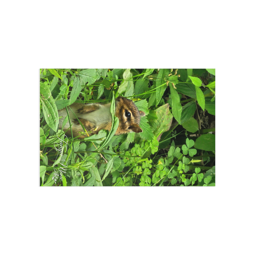 Chipmunk in the Green — Fine Art Postcard (Nature Wildlife Photography)