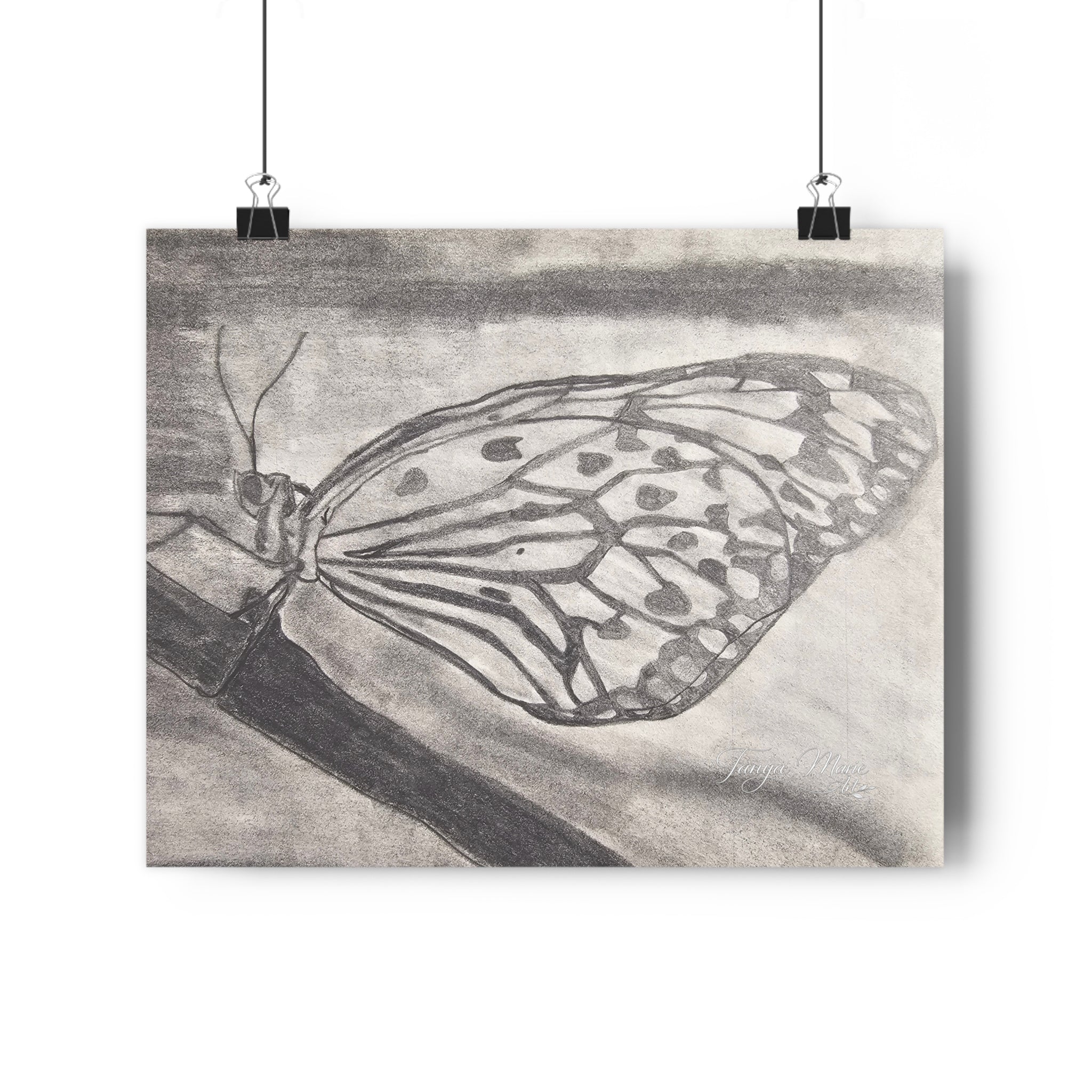 Butterfly Kisses - Monochrome Butterfly Giclée Art Print — Pencil Sketch Wall Art