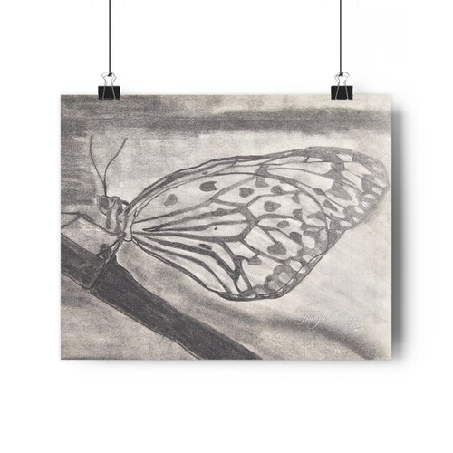 Monochrome butterfly pencil sketch art print on matte paper