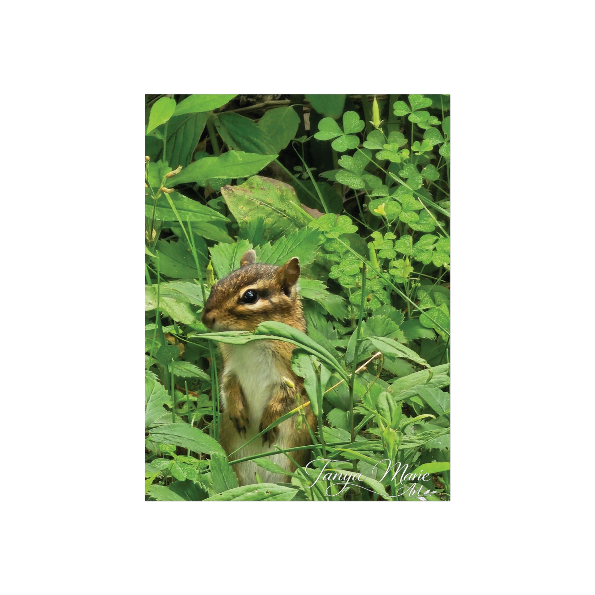 Chipmunk Wildlife Fine Art Poster — Woodland Nature Wall Art