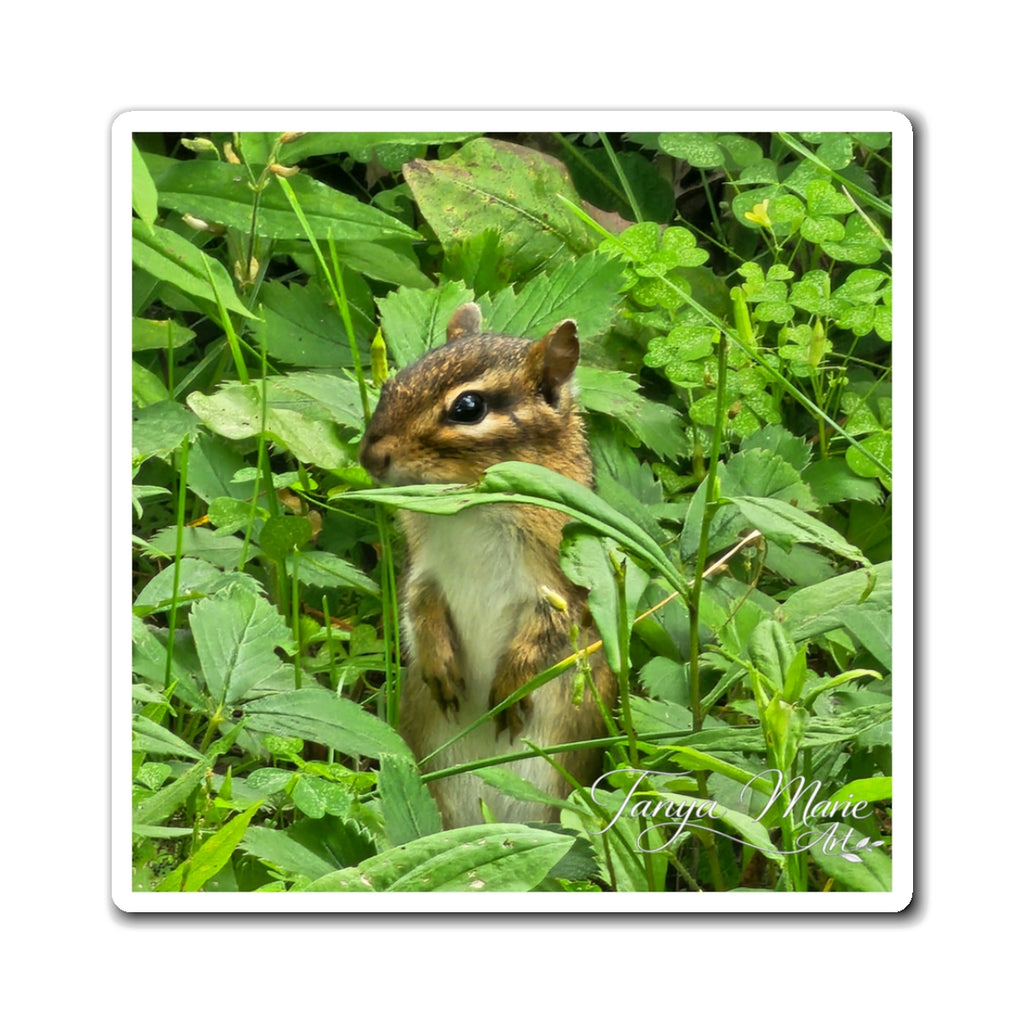 Chipmunk Photo Magnet – Cute Wildlife Refrigerator Magnet
