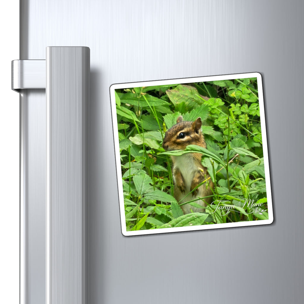 Chipmunk Photo Magnet – Cute Wildlife Refrigerator Magnet