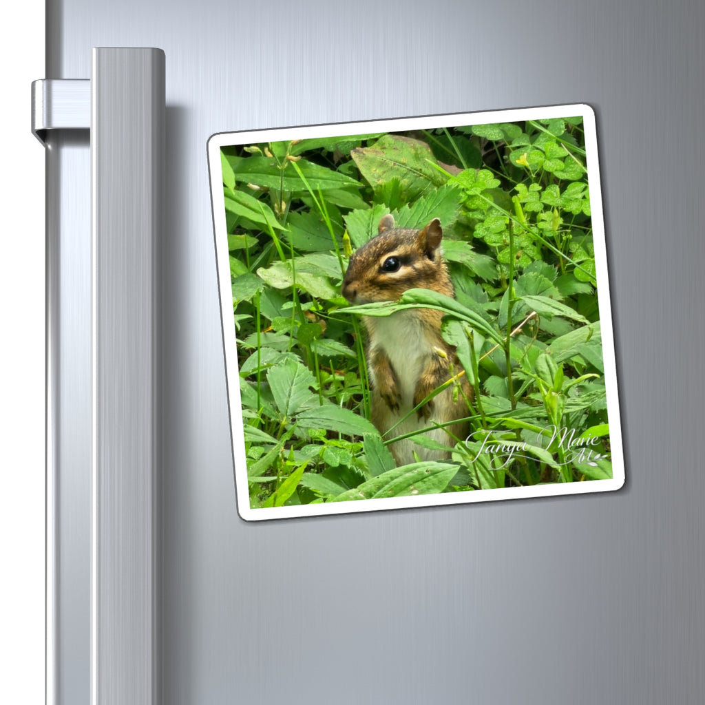 Chipmunk Photo Magnet – Cute Wildlife Refrigerator Magnet