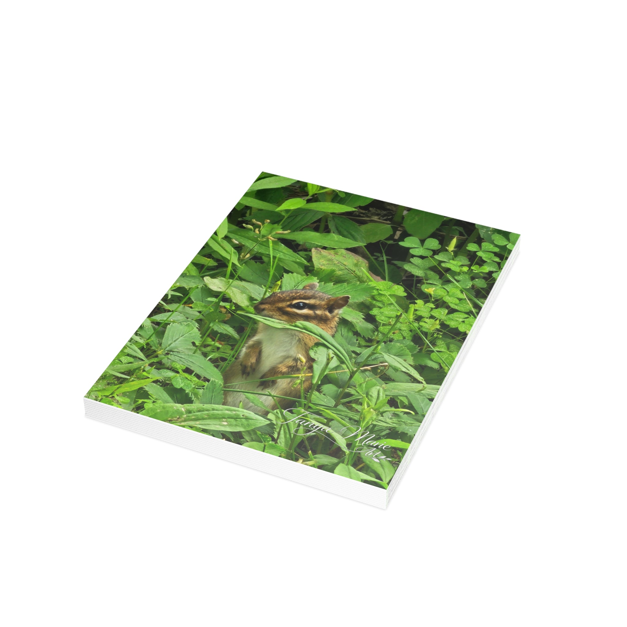 Chipmunk in the Greenery - Blank Greeting Card (Single or Bulk)