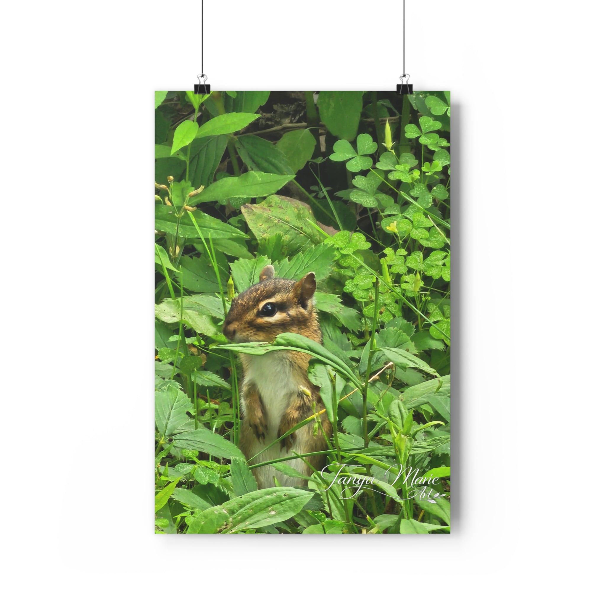 Chipmunk in Greenery — Giclée Art Print (Woodland Wildlife Photography)