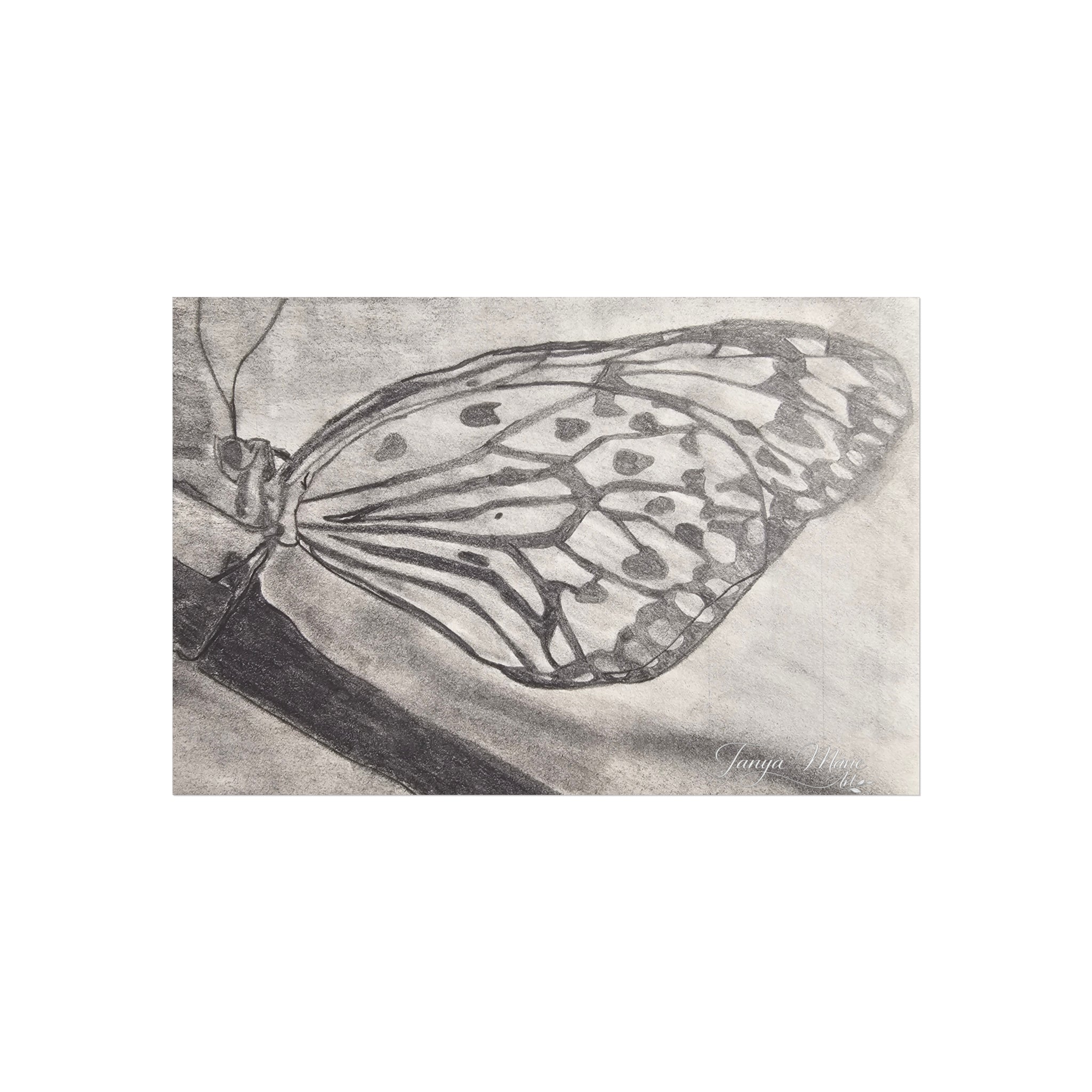 Butterfly Kisses - Butterfly Wing Charcoal Art Poster — Monochrome Fine Art Print