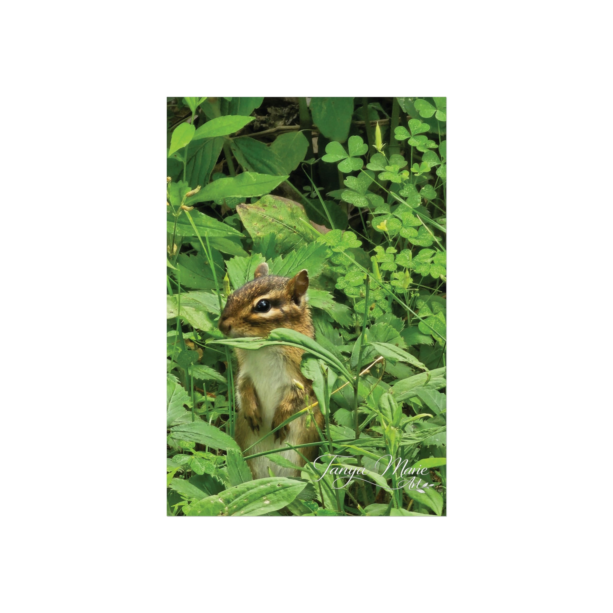 Chipmunk Wildlife Fine Art Poster — Woodland Nature Wall Art