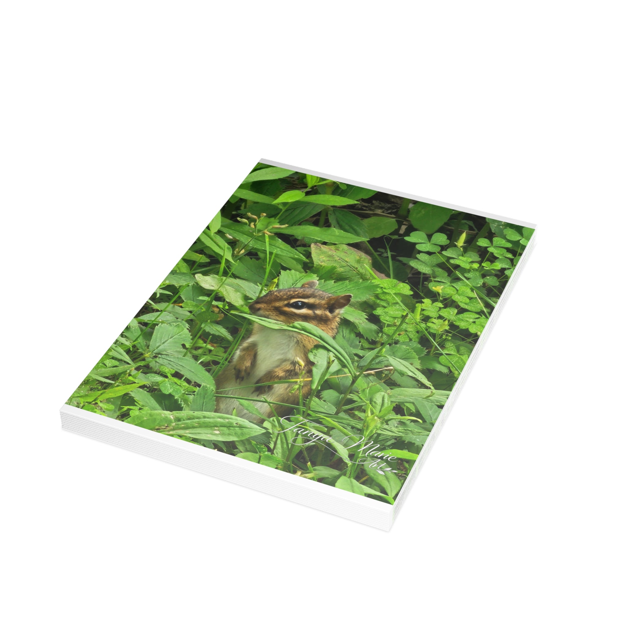Chipmunk in the Greenery - Blank Greeting Card (Single or Bulk)