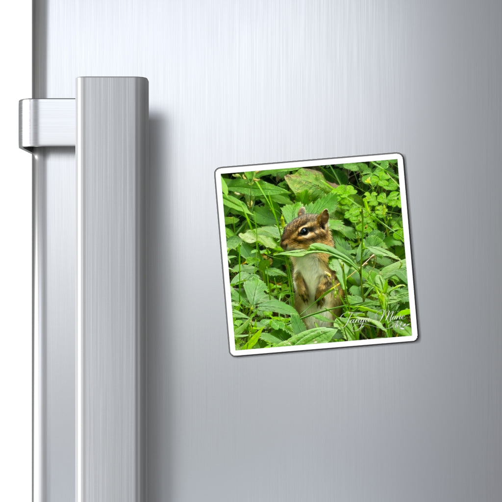 Chipmunk Photo Magnet – Cute Wildlife Refrigerator Magnet
