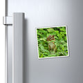 Chipmunk Photo Magnet – Cute Wildlife Refrigerator Magnet
