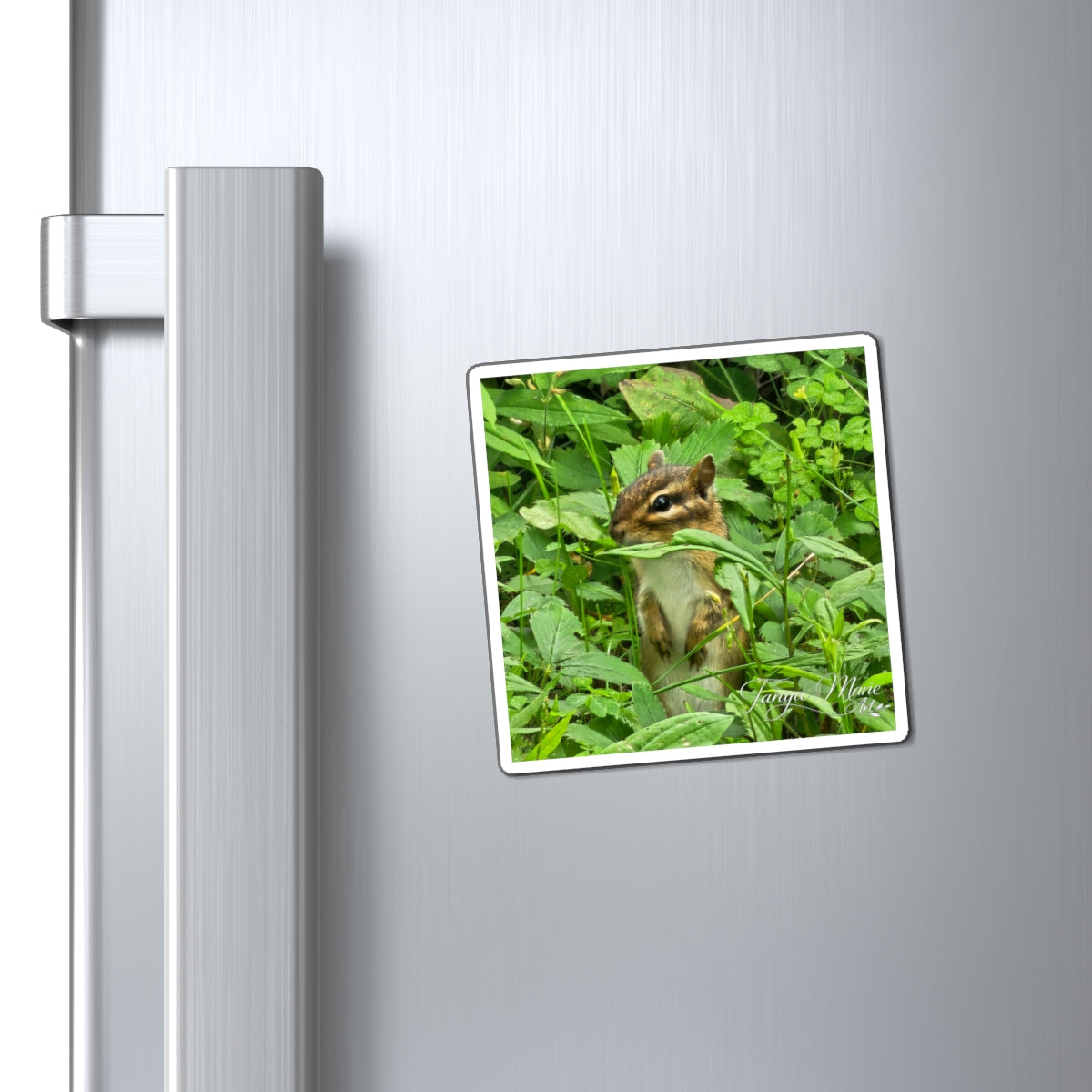 Chipmunk Photo Magnet – Cute Wildlife Refrigerator Magnet