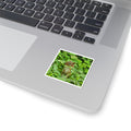 Chipmunk Photo Sticker — Cute Wildlife Kiss-Cut Sticker for Laptops, Water Bottles & Journals