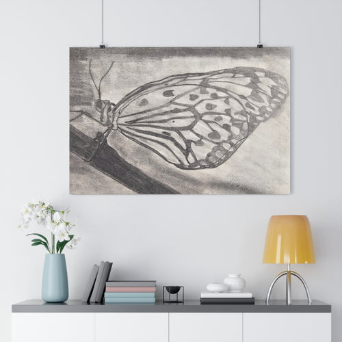Monochrome butterfly giclée art print, pencil sketch on matte paper