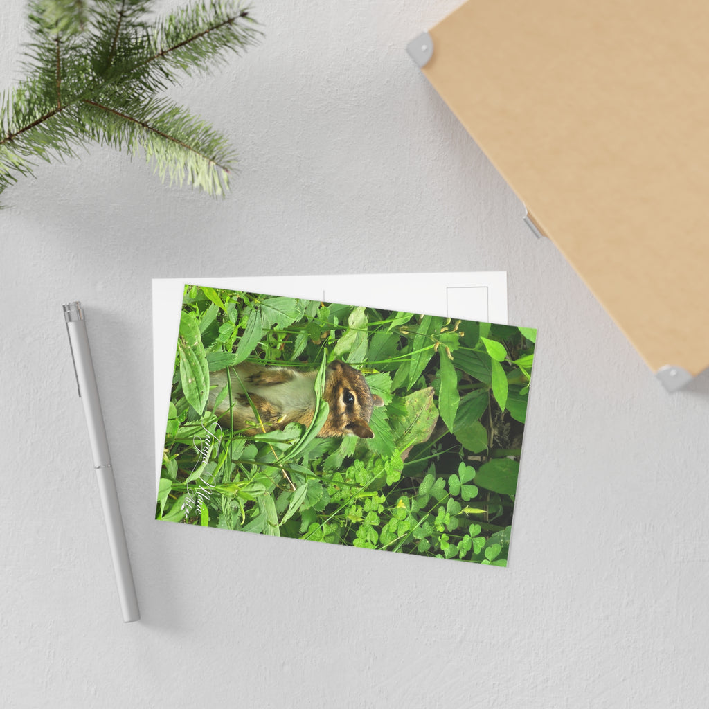 Chipmunk in the Green — Fine Art Postcard (Nature Wildlife Photography)