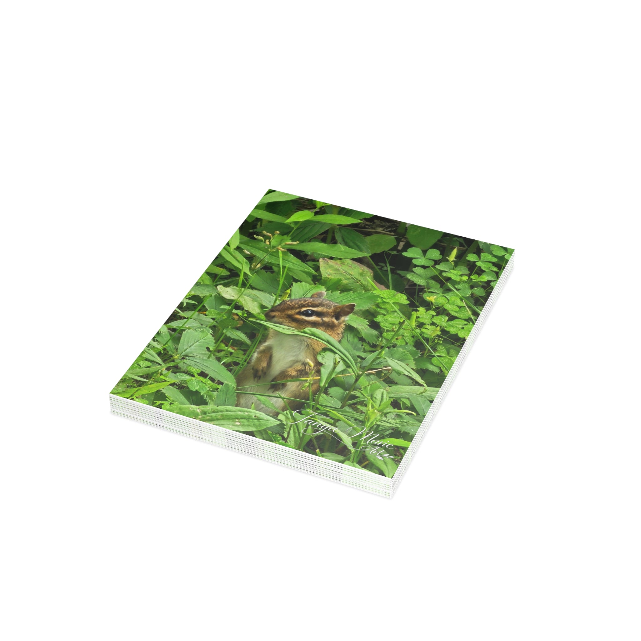 Chipmunk in the Greenery - Blank Greeting Card (Single or Bulk)