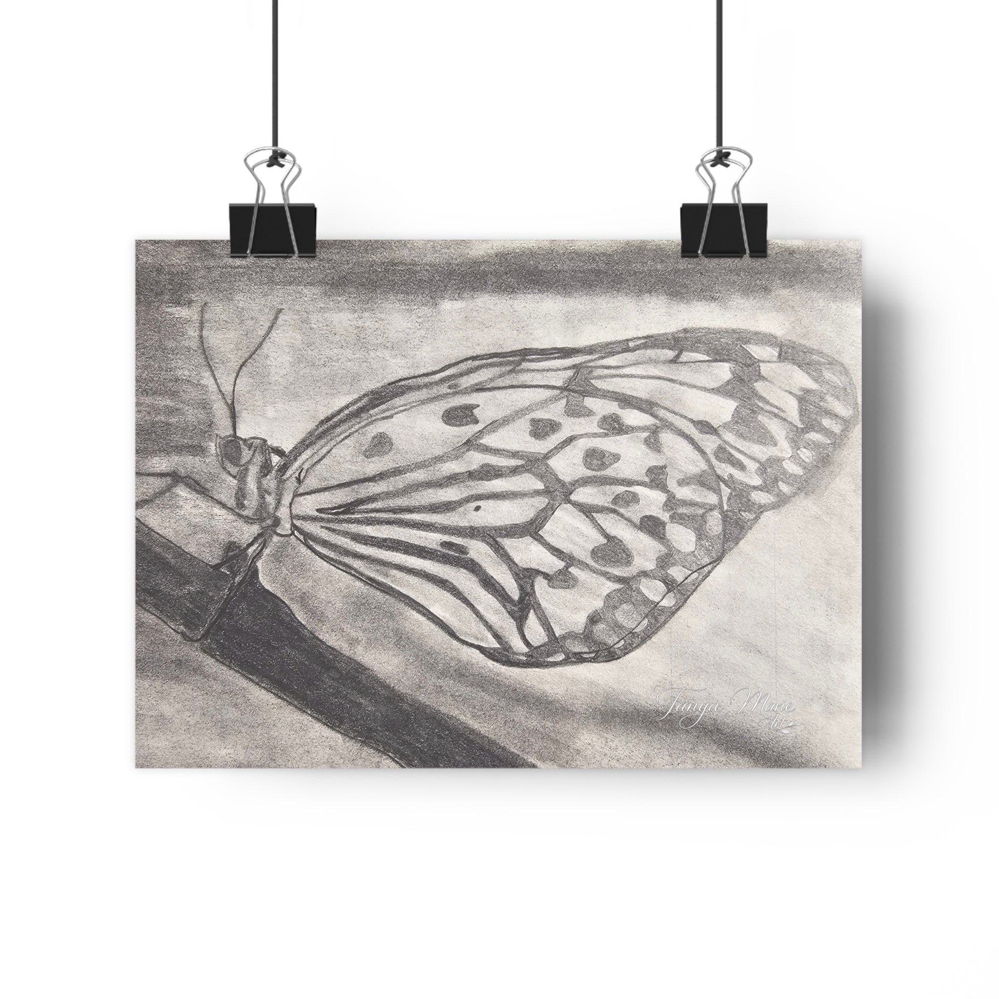 Butterfly Kisses - Monochrome Butterfly Giclée Art Print — Pencil Sketch Wall Art