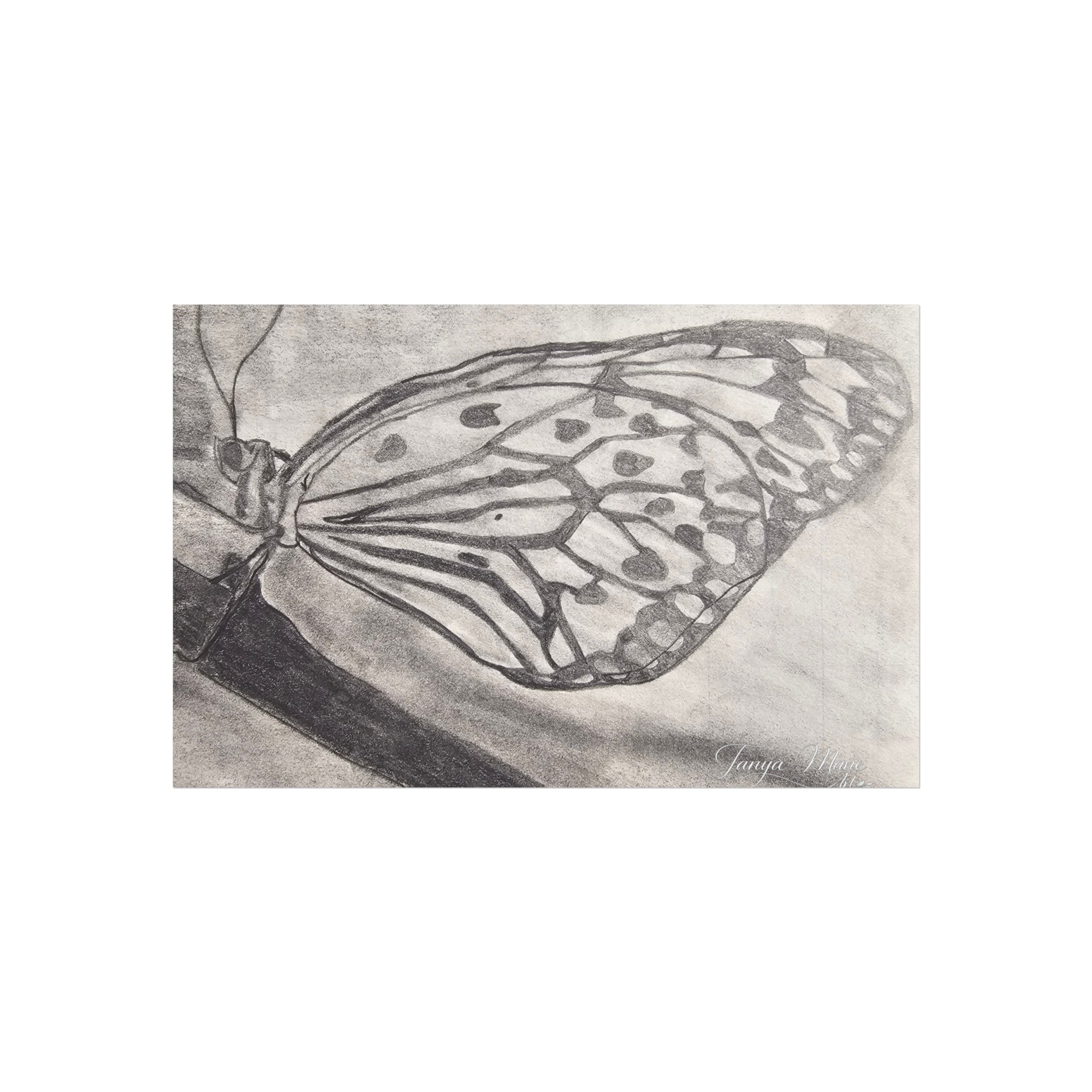 Butterfly Kisses - Butterfly Wing Charcoal Art Poster — Monochrome Fine Art Print