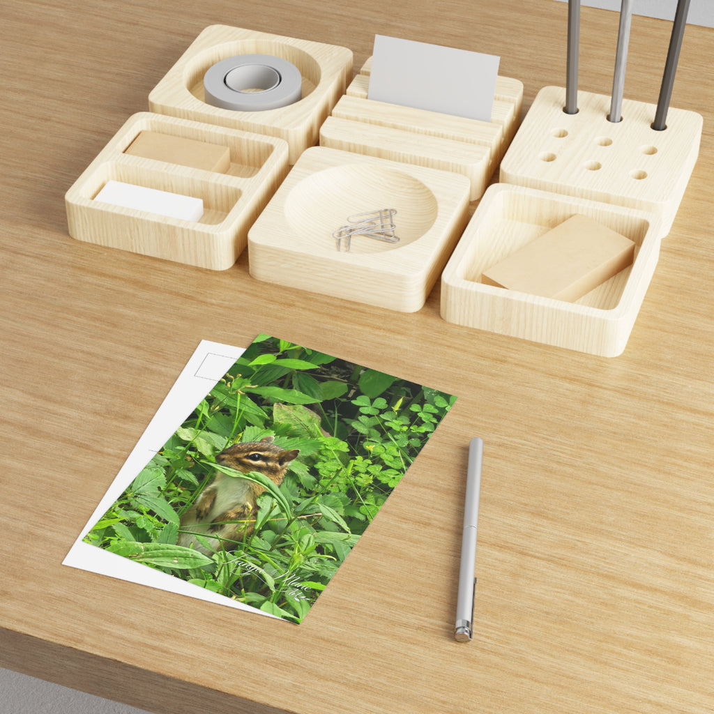 Chipmunk in the Green — Fine Art Postcard (Nature Wildlife Photography)