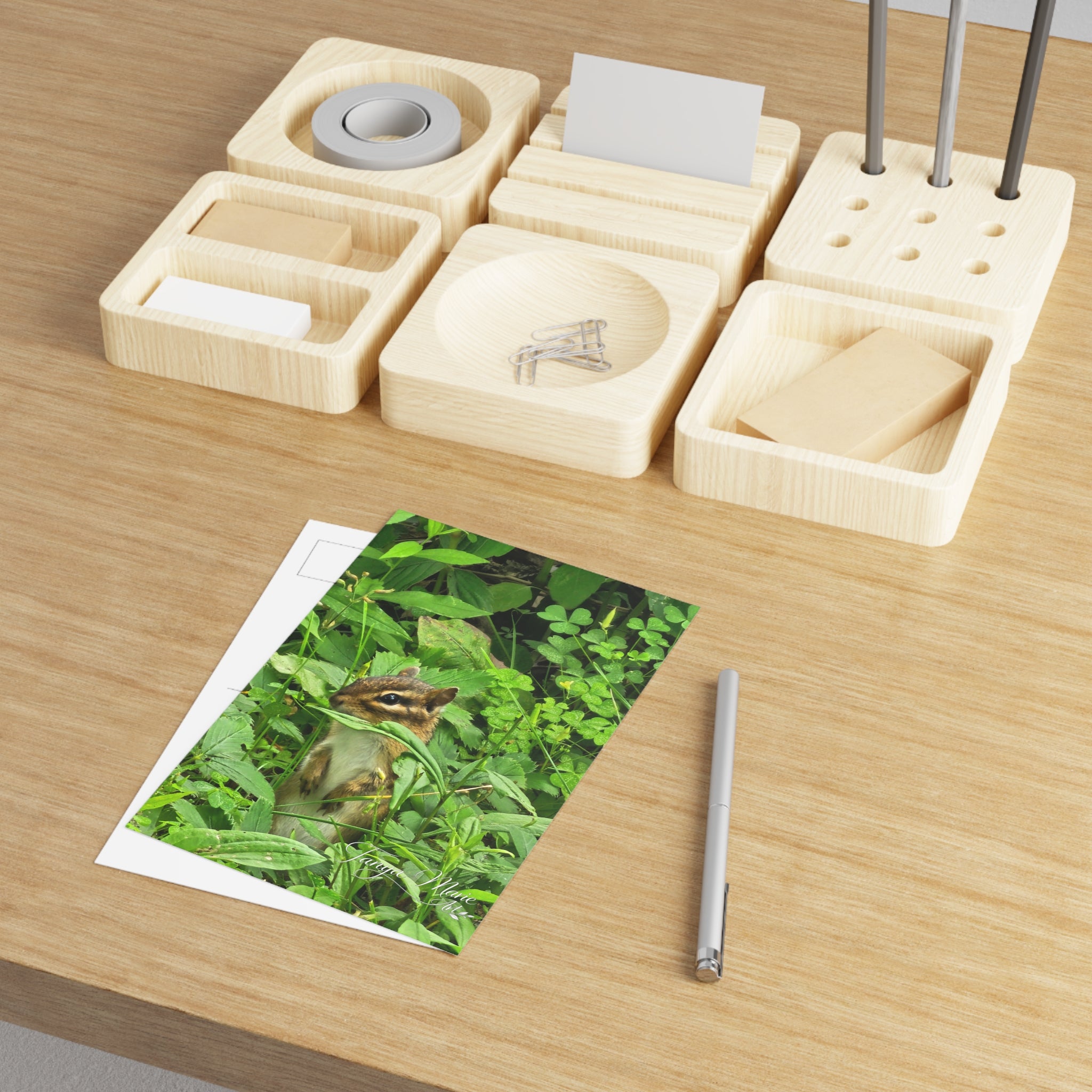Chipmunk in the Green — Fine Art Postcard (Nature Wildlife Photography)