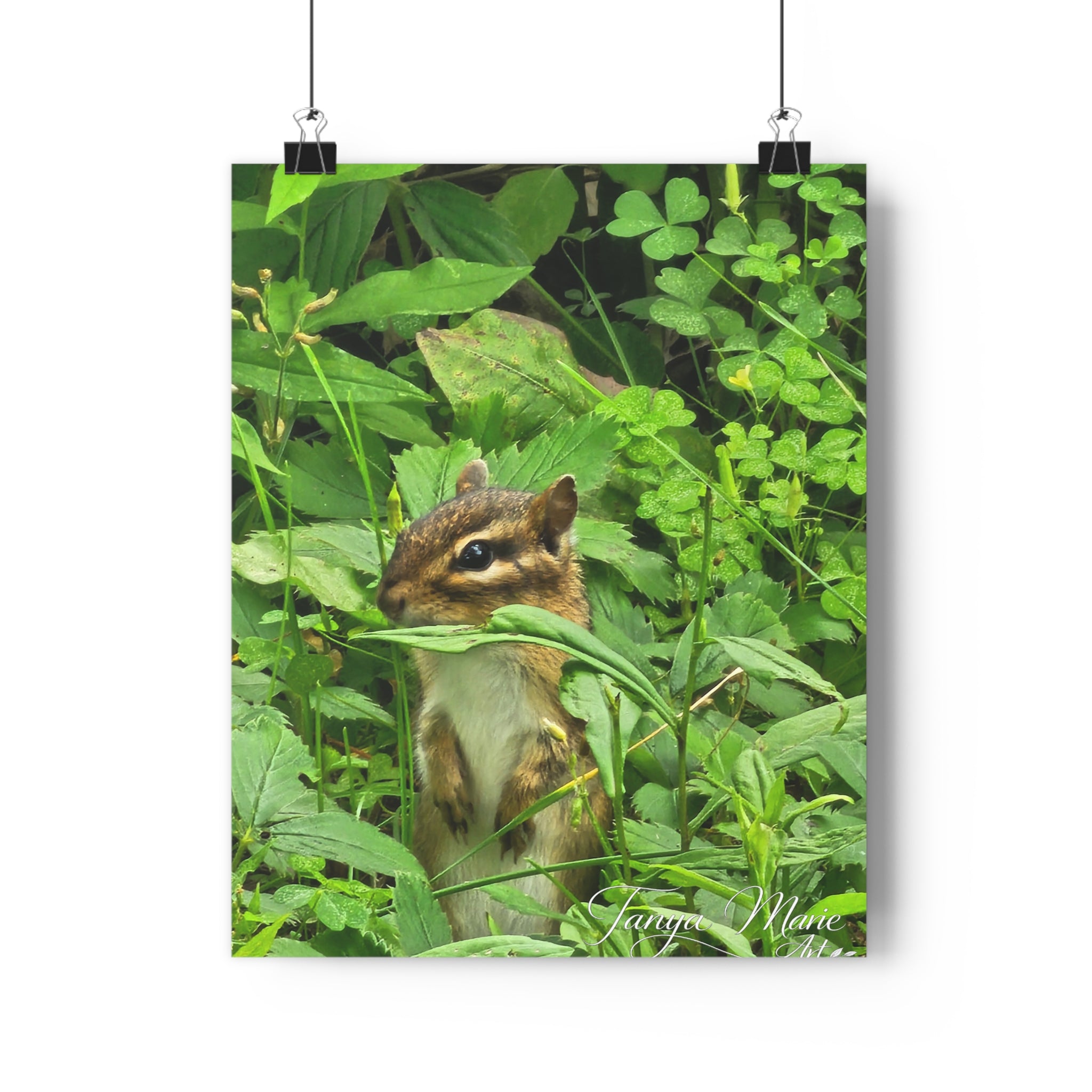 Chipmunk in Greenery — Giclée Art Print (Woodland Wildlife Photography)