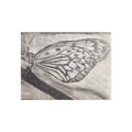 Butterfly Kisses - Butterfly Wing Charcoal Art Poster — Monochrome Fine Art Print
